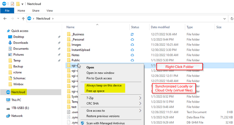 Choose to Sync Locally or Keep Files in the Cloud Only