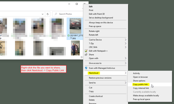 Create and Copy the Public Link in Windows File Manager