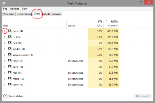 Task Manager Users Tab